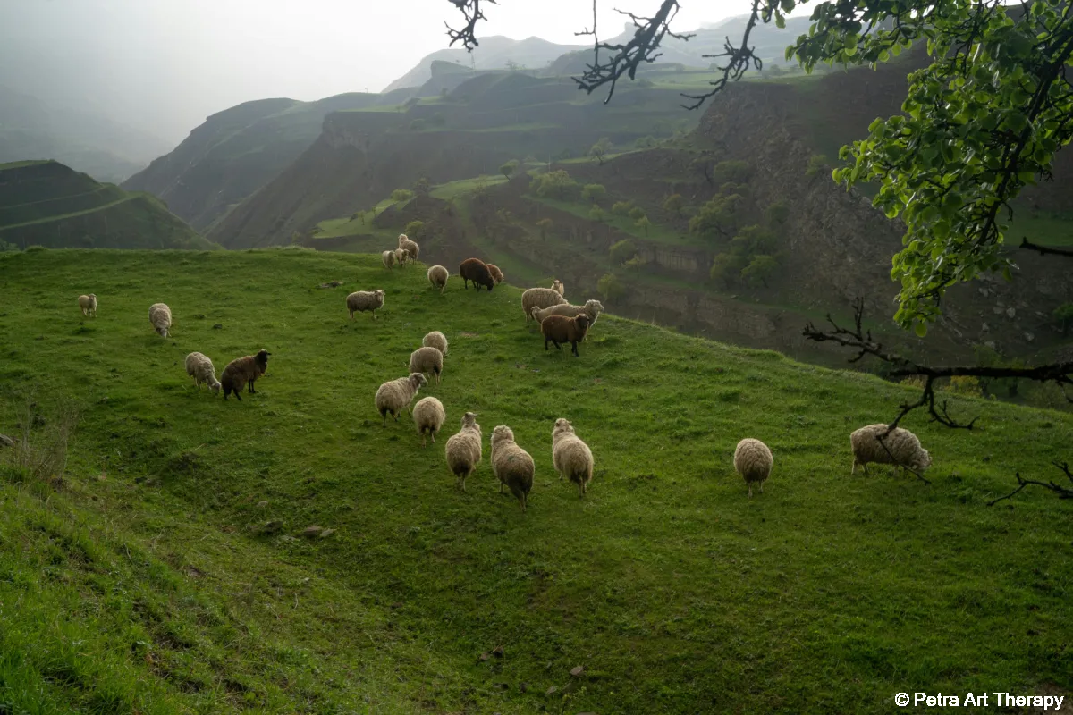 Dömötör napja – A belső juhászújév és az átalakulás kapuja