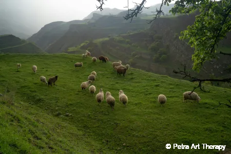 Dömötör napja – A belső juhászújév és az átalakulás kapuja