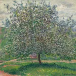 Gyümölcsoltó Boldogasszony: Az Égi Üzenet és a Földi Fogantatás Misztériuma